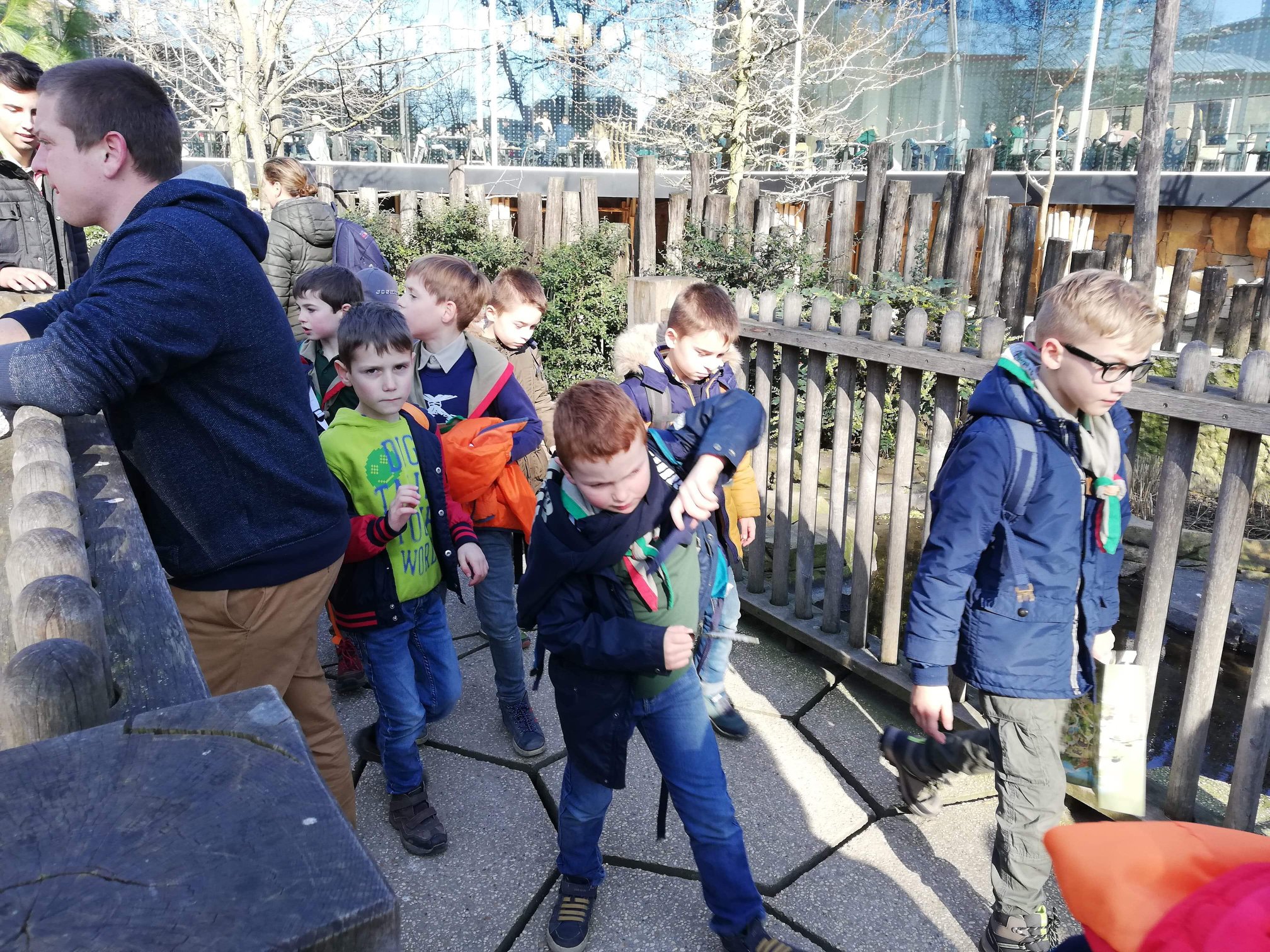Sint-Martinus den XIIde - Zoo Antwerpen Kapoenen